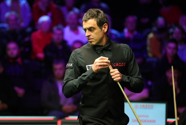 根教鞭成为 根教鞭成为